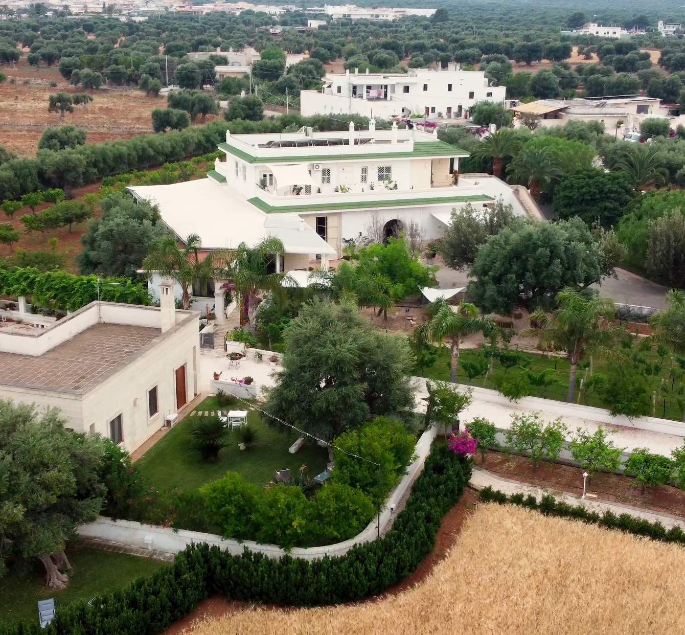 La Masseria vista dall’alto, circondata dagli ulivi
