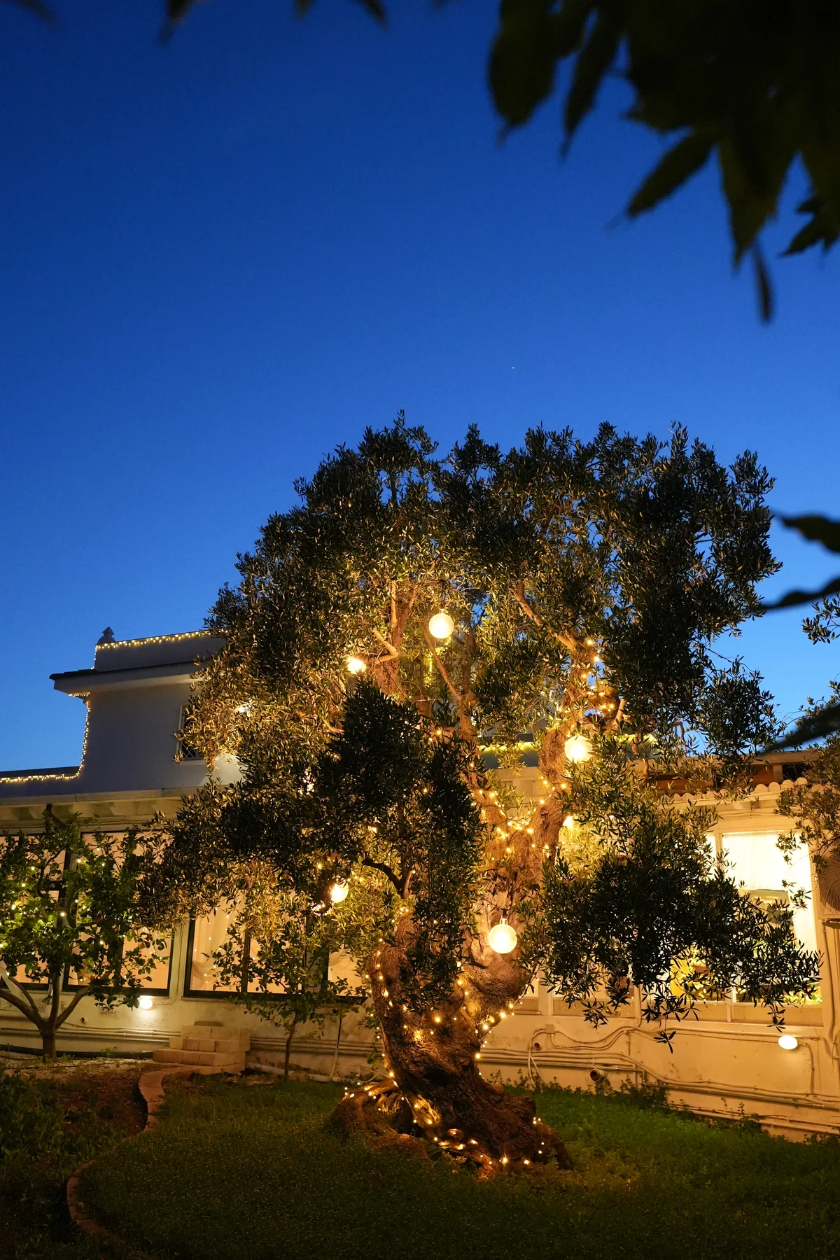 Gli spazi della Masseria tra allestimenti e luci serali