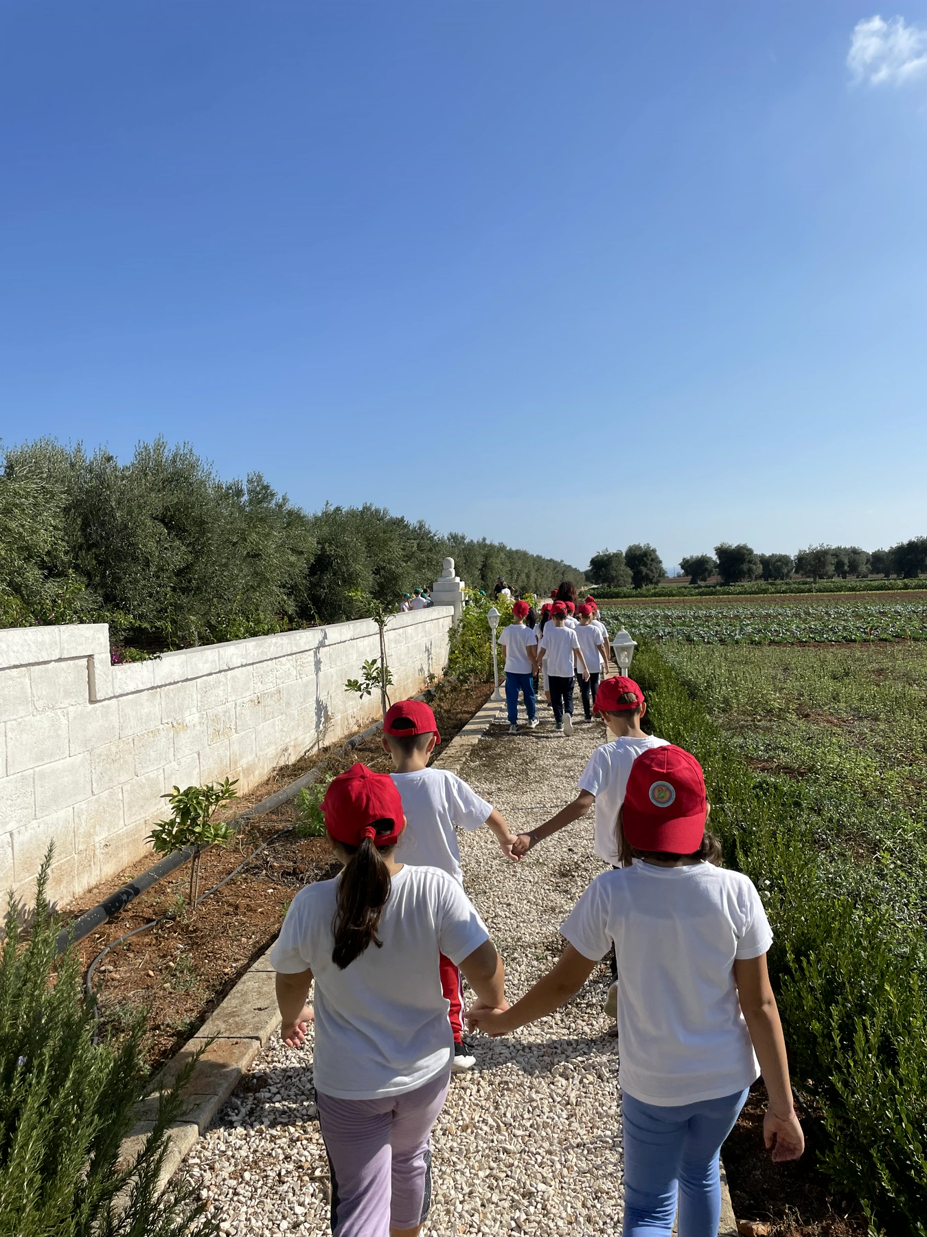 Il percorso dei bambini verso gli orti