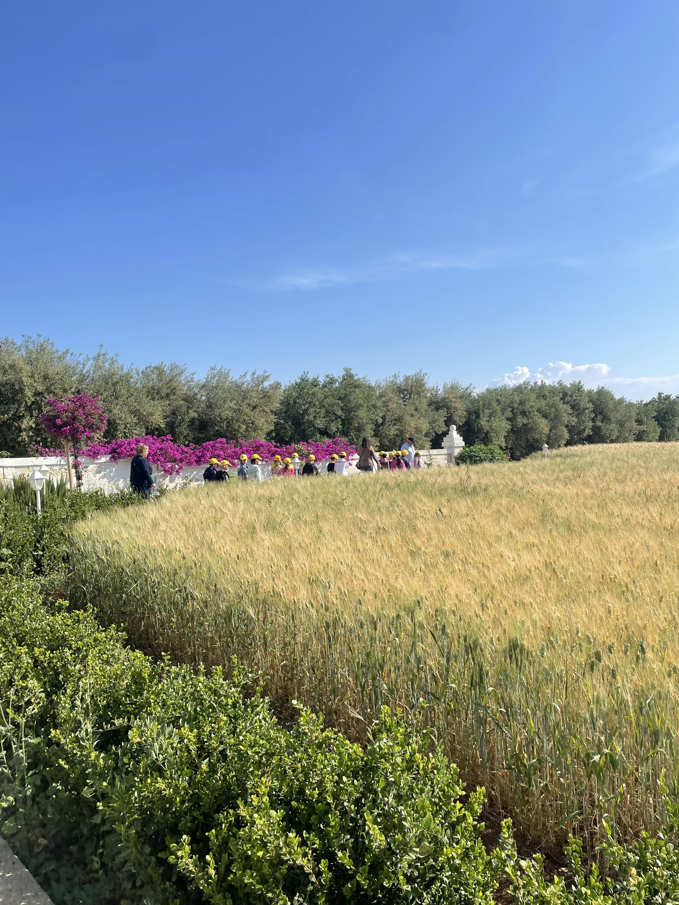 Una visita tra i campi e gli ulivi della Masseria