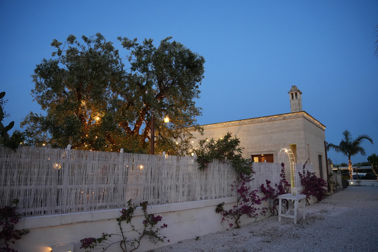 Ulivo decorato con luci davanti alla Masseria al crepuscolo.