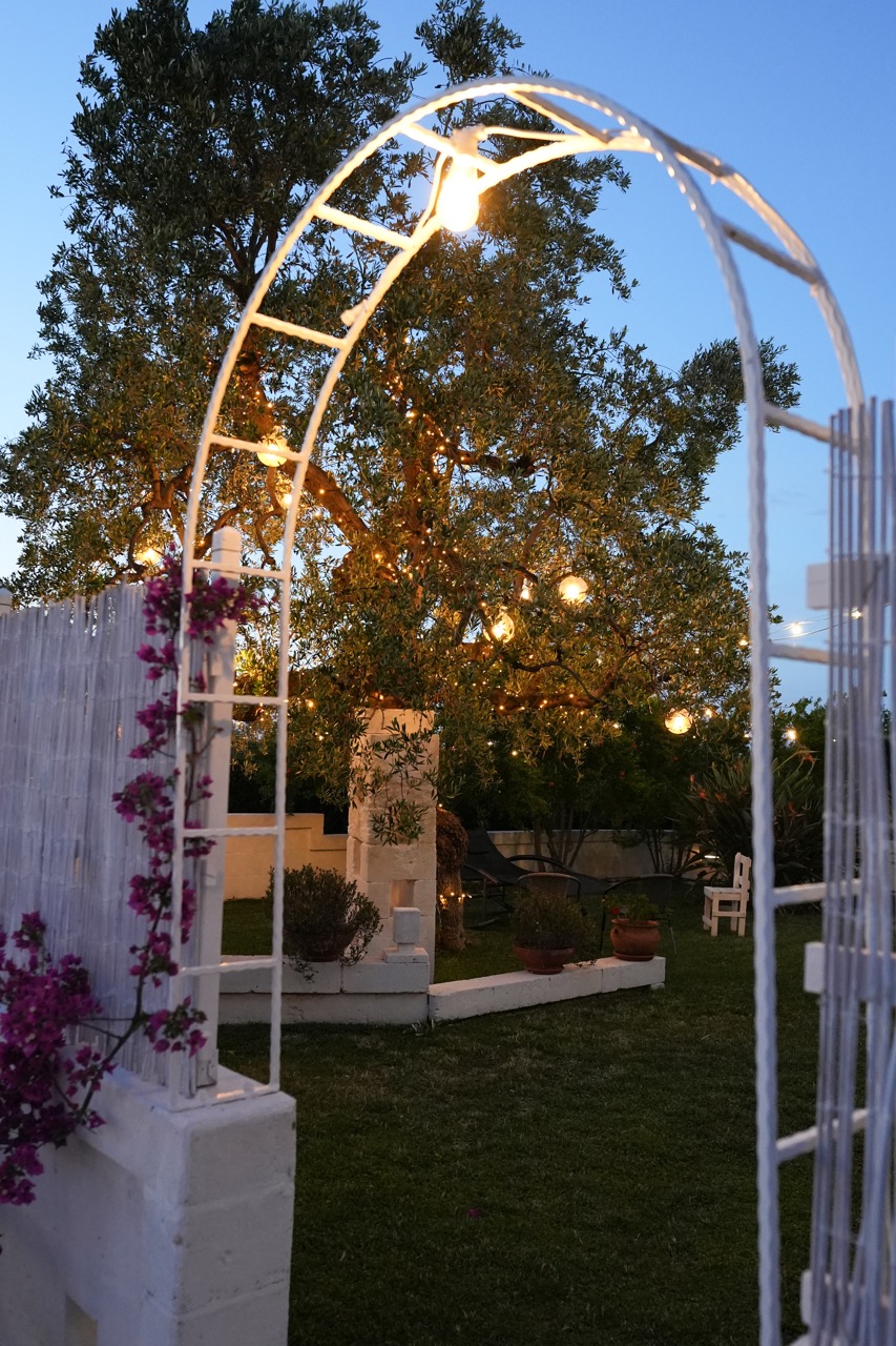 Arco bianco all’ingresso del giardino, con luci tra i rami dell’ulivo.