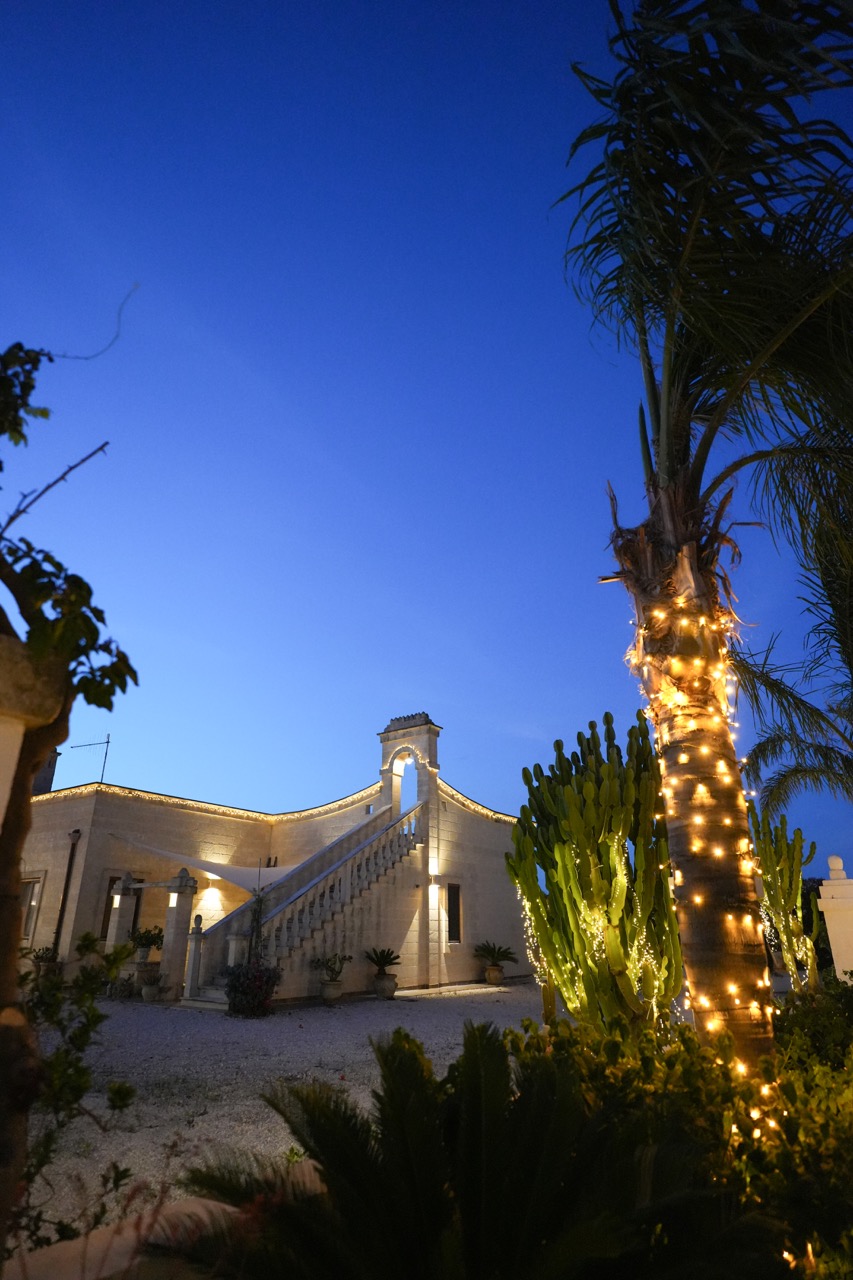Palma avvolta da luci con la scala esterna della Masseria sullo sfondo.