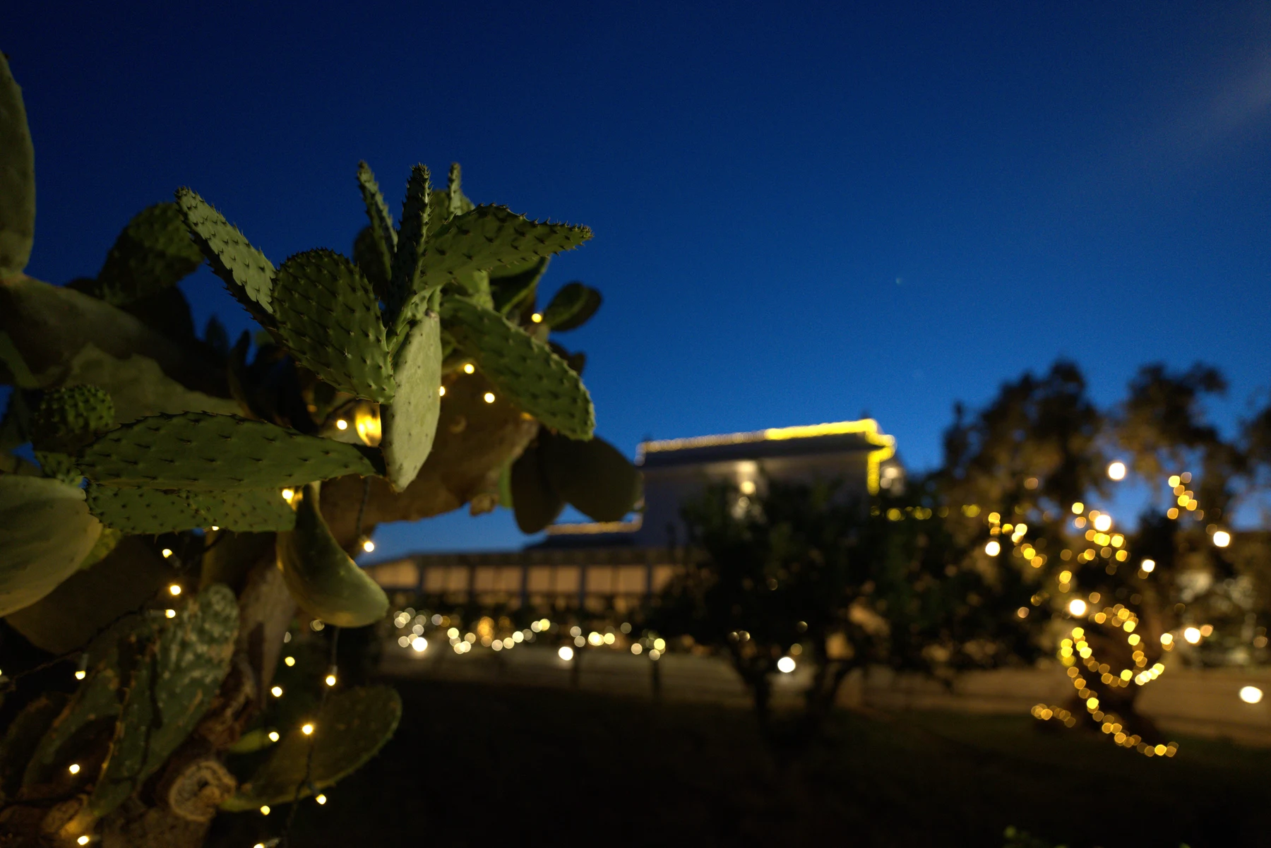 Il giardino della Masseria e le luci della sera