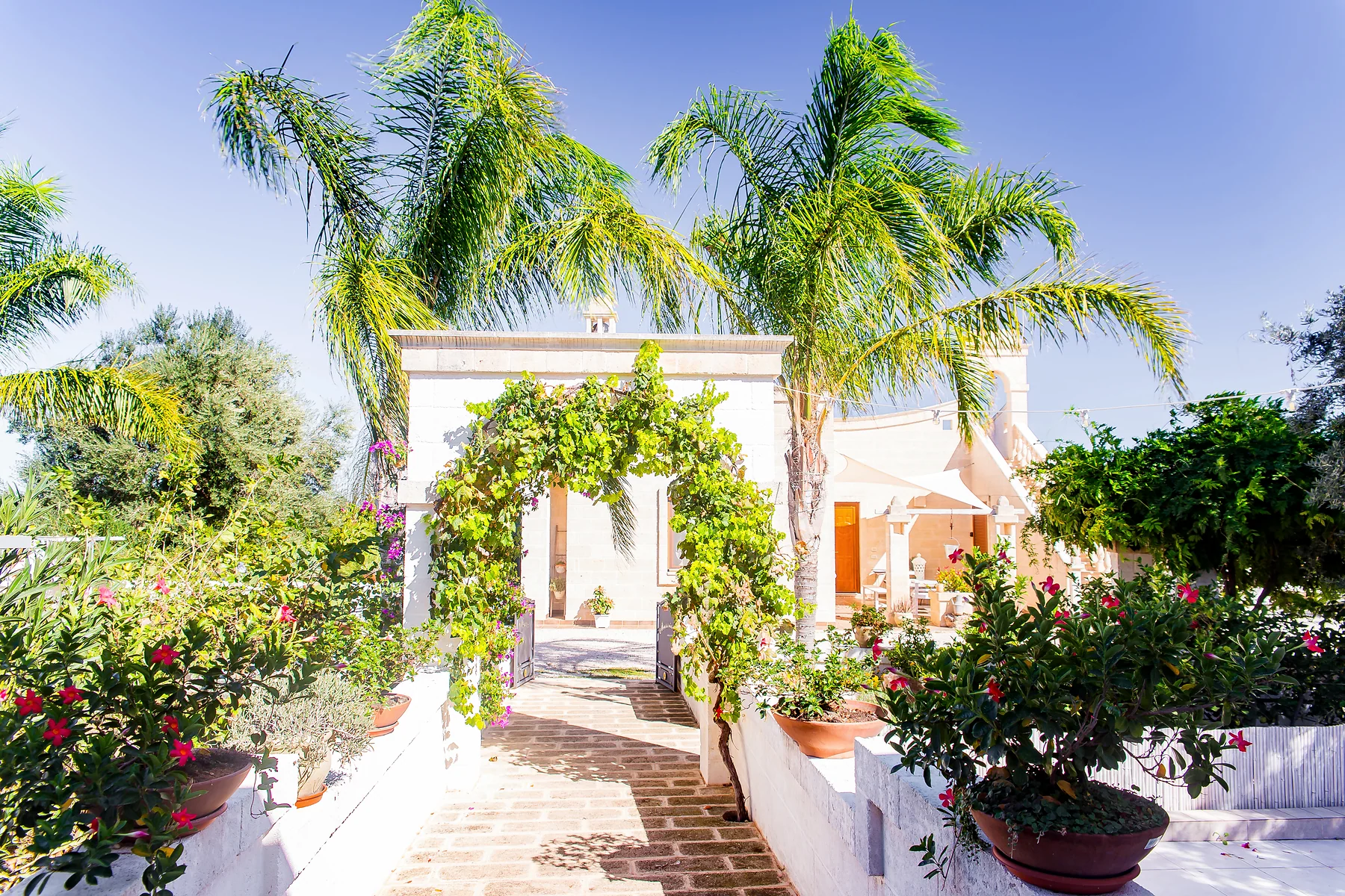 Il giardino e il vialetto fiorito davanti alle camere della Masseria