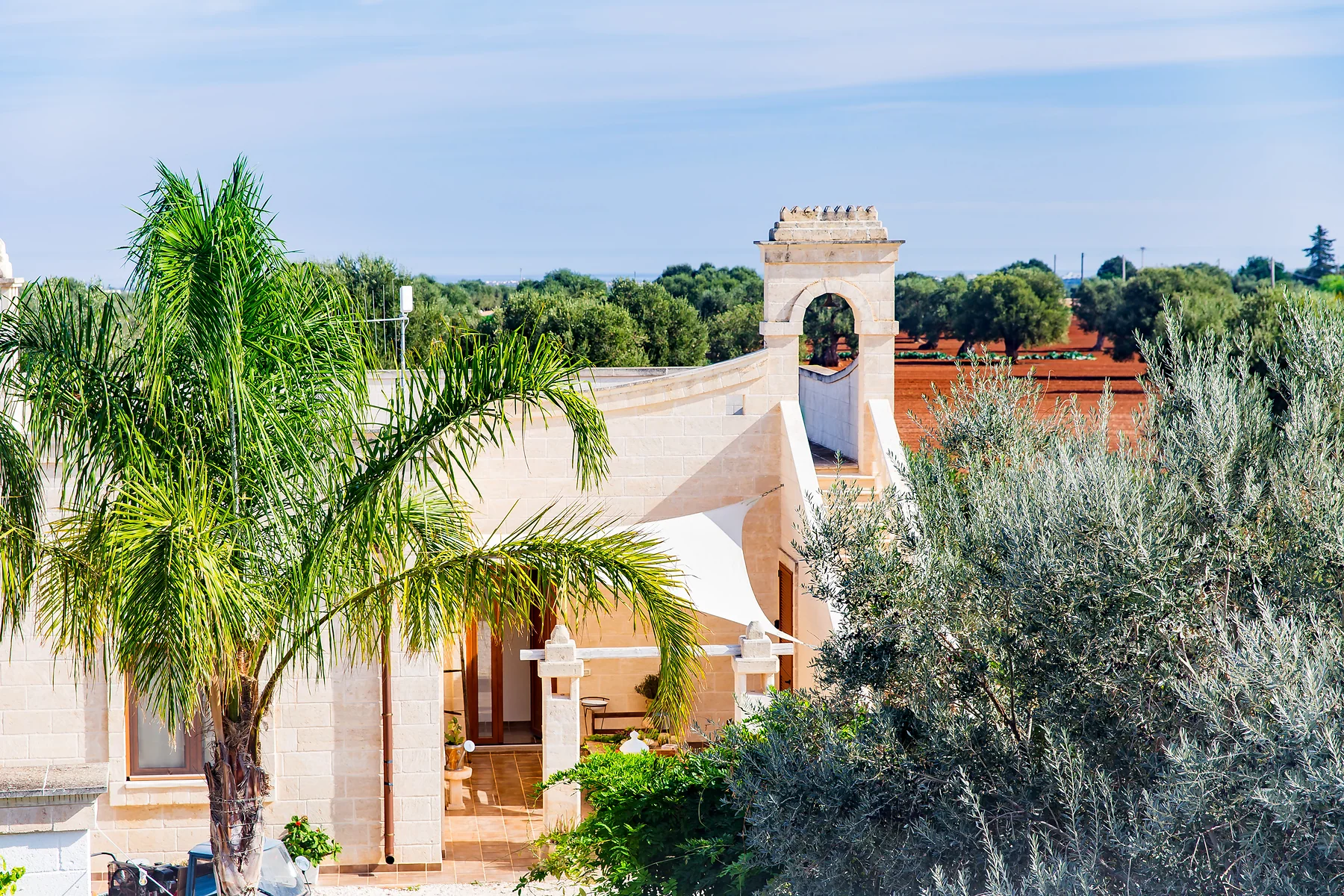 La Masseria tra le palme e gli ulivi