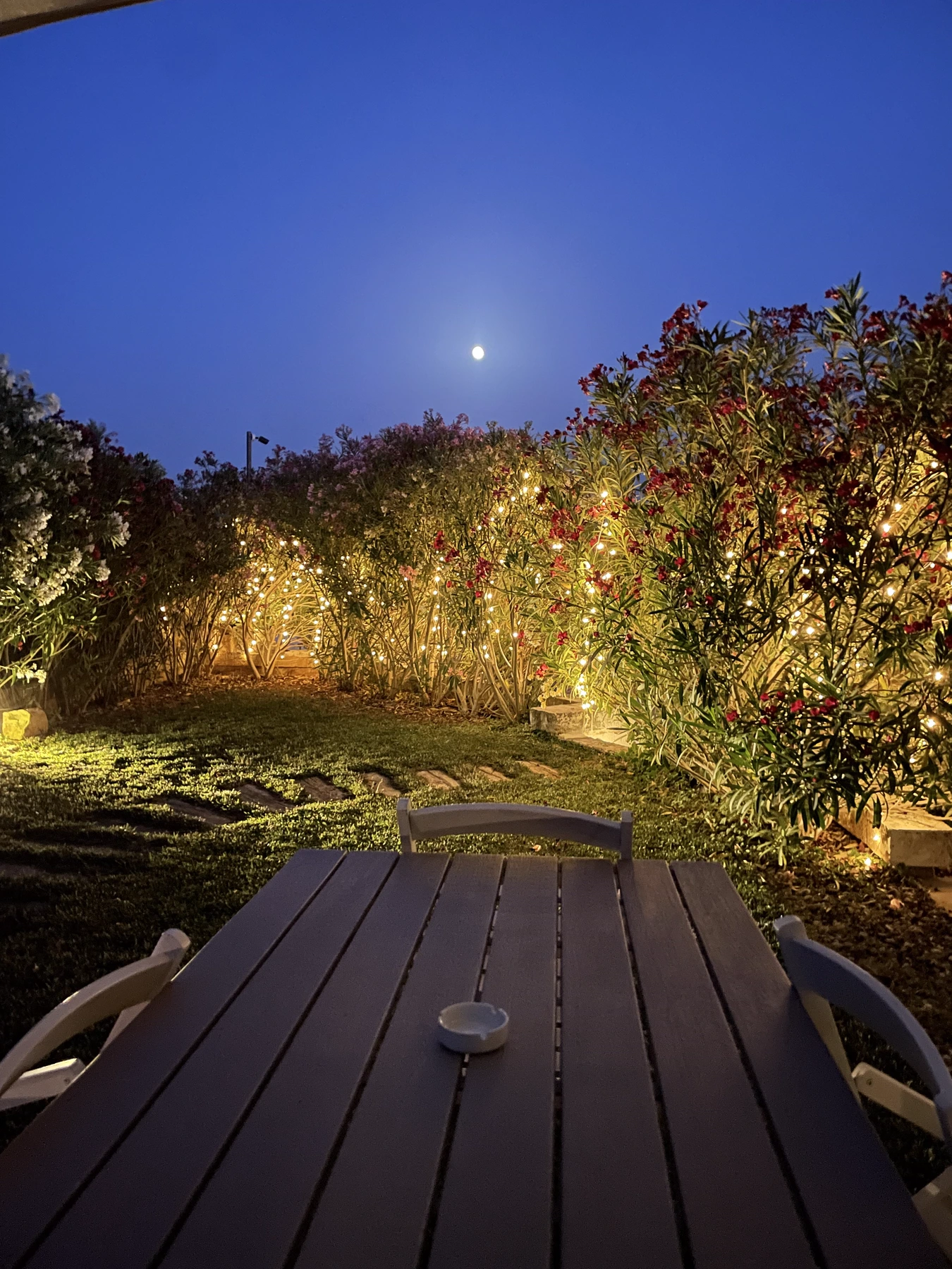 Le luci del giardino e la luna sopra le camere